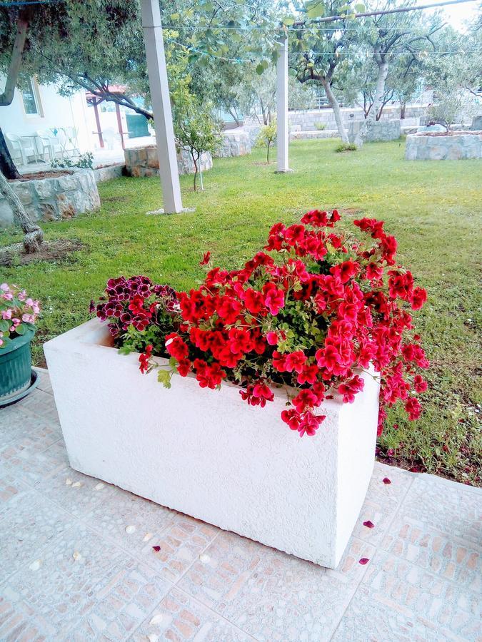 Apartments Maxi Katic Herceg Novi Luaran gambar